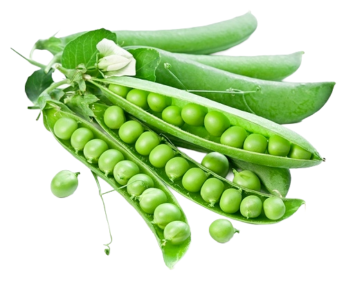 Pea SS-10